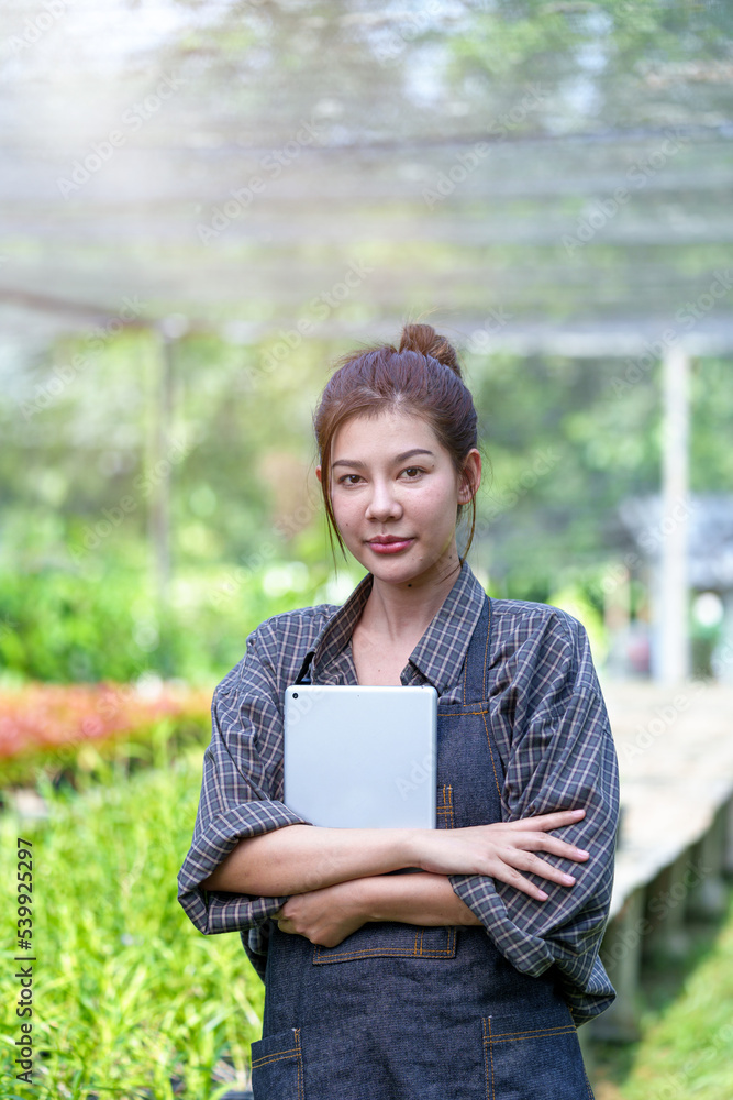 Beautiful Asian woman farmer working in her garden Young female gardener checking quality Bromeliaceae (Bromeliad) working on the farm in pots the greenhouse production concept. Beautiful Asian woman farmer working in her garden Young female gardener checking quality Bromeliaceae (Bromeliad) working on the farm in pots the greenhouse production concept.