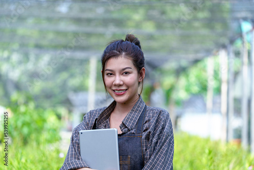 Beautiful Asian woman farmer working in her garden Young female gardener checking quality Bromeliaceae (Bromeliad) working on the farm in pots the greenhouse production concept.