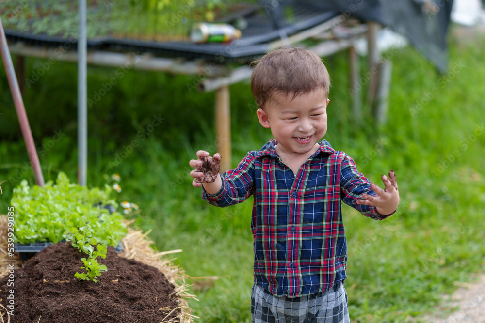 Portrait of Happy little boy organic vegetable farm is picking vegetables from a plot in a organic house.Education and healthy food concept. Portrait of Happy little boy organic vegetable farm is picking vegetables from a plot in a organic house.Education and healthy food concept.