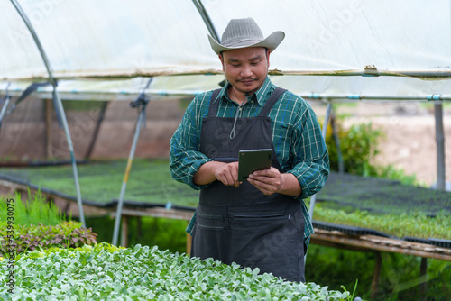 Asian Young man Farmer checking quality by tablet agriculture modern technology Concept. Smart farming, using modern technologies in agriculture. Man agronomist farmer with digital tablet.