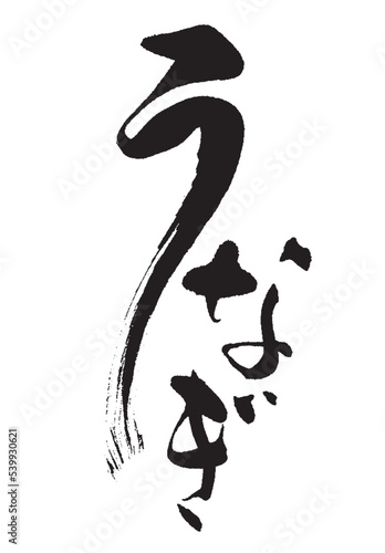 うなぎ_3