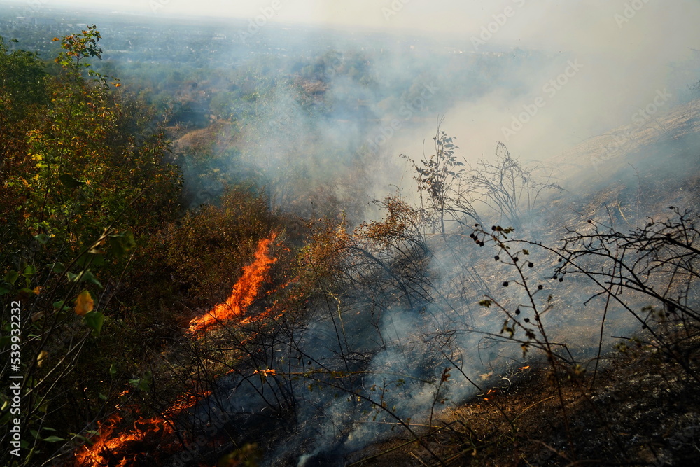 Fototapeta premium Fires in mountainous areas. Ignition of dry grass, shrubs and trees.