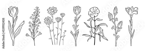 Hand drawn set of blooming flowers. Floral summer collection. Vector sketch elements isolated on white background. Decorative doodle illustration for greeting card, wedding invitation, fabric