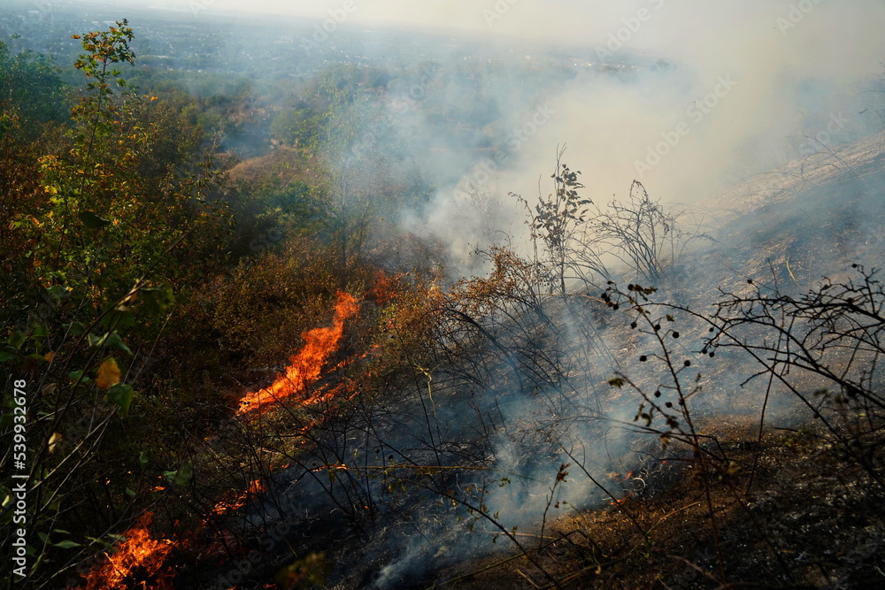 Fires in mountainous areas. Ignition of dry grass, shrubs and trees