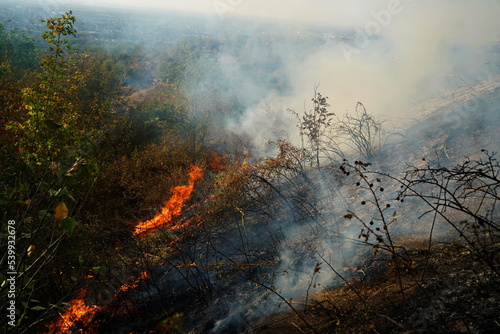 Fires in mountainous areas. Ignition of dry grass, shrubs and trees. © Vladimir