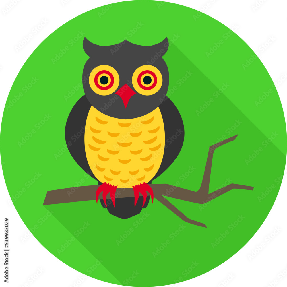 Fototapeta premium Owl