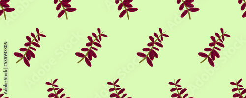 Fototapeta Naklejka Na Ścianę i Meble -  stem of red herb with round leaves hand drawn cartoon crayon style as seamless pattern wallpaper on green pastel background header