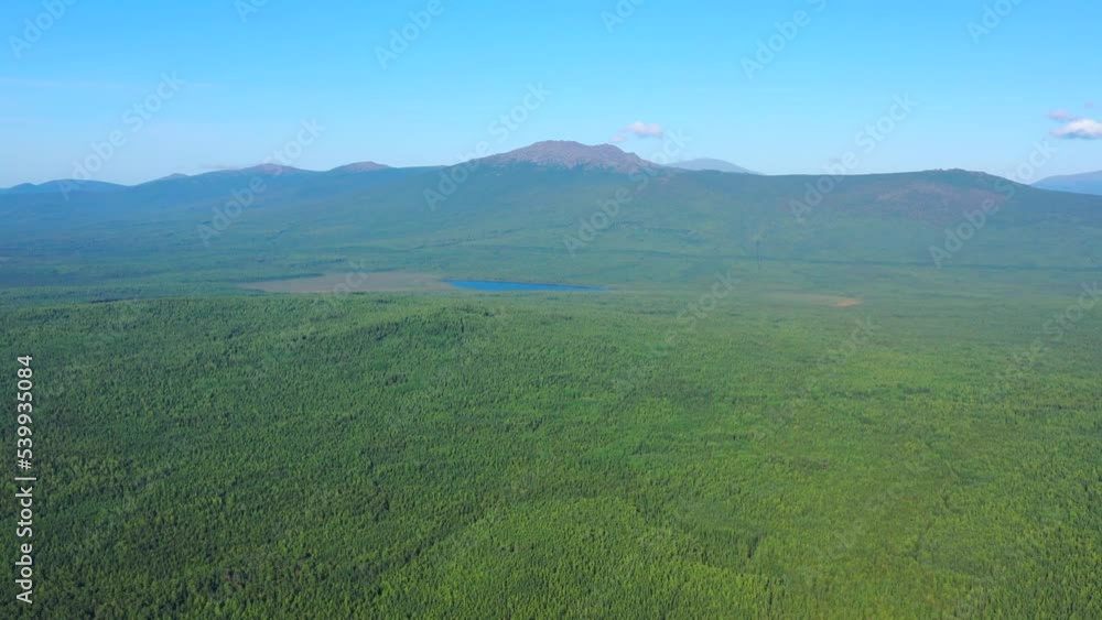 Flight over summer forest consisting of various trees - spruce, pine, birch, larch, oak, aspen Flight over summer forest consisting of various trees - spruce, pine, birch, larch, oak, aspen