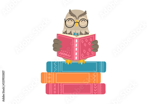 Owl reads book sitting on stack of books. Children illustration, literature, storytime, education concept. 