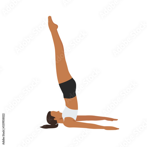 Woman doing Shoulderstand Seal Pose. Beautiful girl practice Salamba Sarvangasana Yoga Mudrasana. Flat vector illustration isolated on white background