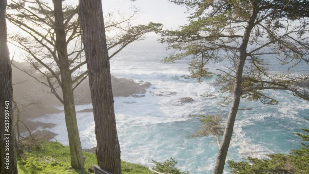 Stationary shot of Pacific Ocean through the trees on a mountainside in Big Sur California. Stationary shot of Pacific Ocean through the trees on a mountainside in Big Sur California.