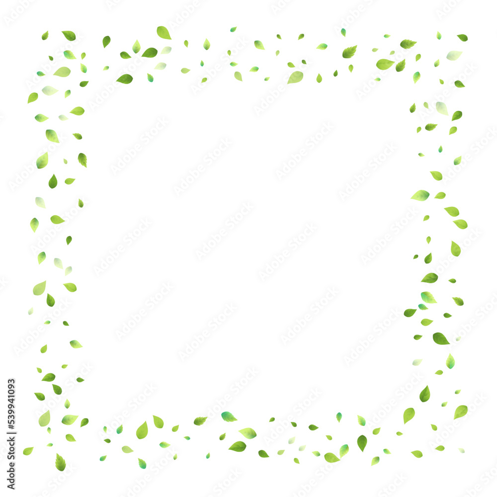 Leaves Green Falling Flying Foliage Leaf Tea Mint Leaves Green Falling Flying Foliage Leaf Tea Mint