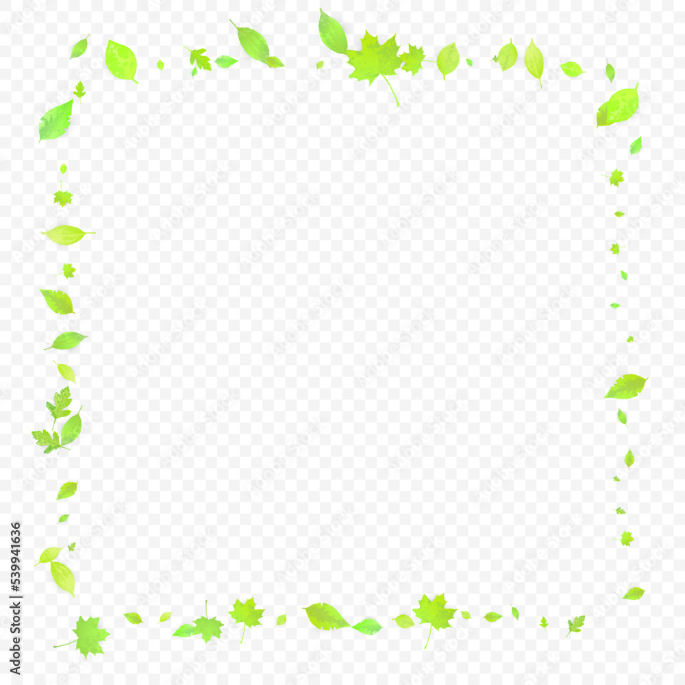 Leaves Falling Spring Flying Foliage Green Leaf Leaves Falling Spring Flying Foliage Green Leaf