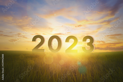 silhouette year 2023 at empty grassland and sunrise