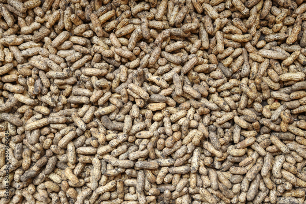 Raw peanuts background, texture. Health food Raw peanuts background, texture. Health food