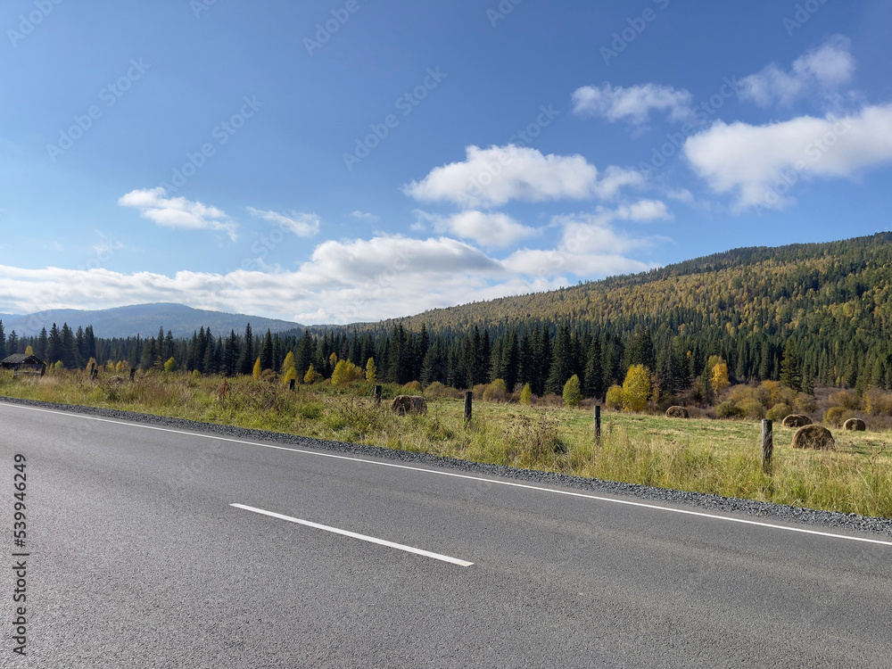 The track on the background of the autumn forest and the Altai mountains in the morning. Beautiful photo wallpaper.