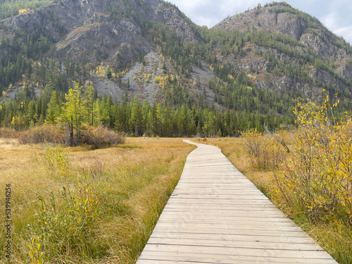 Wooden path against a background of forest and mountains in autumn. Beautiful autumn photo wallpaper. 