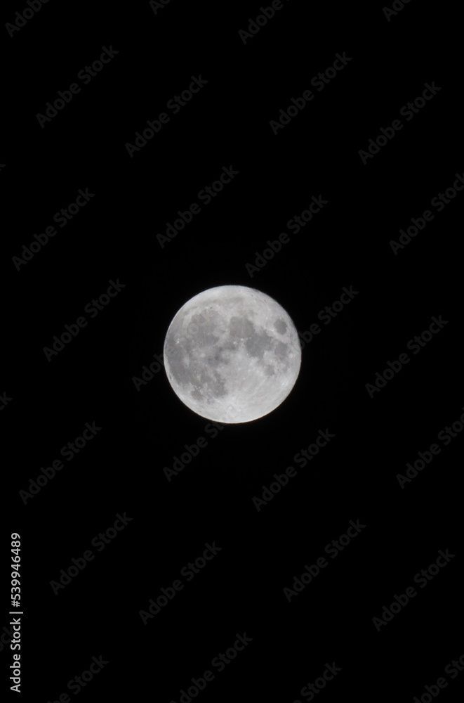 Obraz premium full moon in the night sky