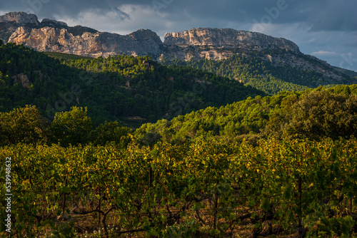 Foto beautiful landscape of the dentelle de montmirail , small mountains in provence