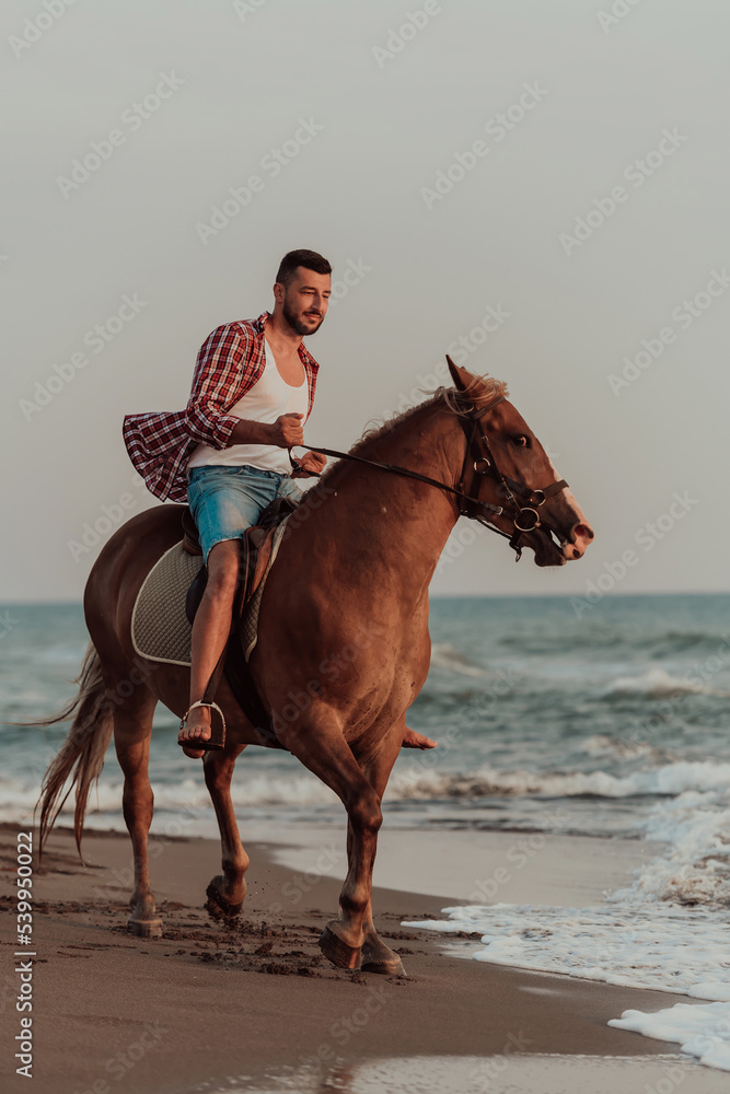 A modern man in summer clothes enjoys riding a horse on a beautiful sandy beach at sunset. Selective focus A modern man in summer clothes enjoys riding a horse on a beautiful sandy beach at sunset. Selective focus