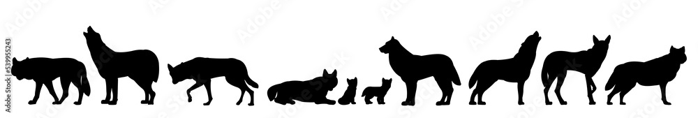 Set of silhouettes of wolves. Pack is resting. Silhouette picture. Wild animal in nature. Predator in natural conditions. Isolated on white background. Vector.