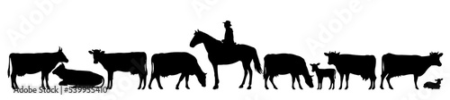 Set of shepherd grazes cows in pasture. Picture silhouette. Farm pets. Animals for milk and dairy products. Isolated on white background. Vector