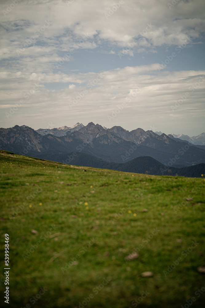 Alpine mountain range and grassy land