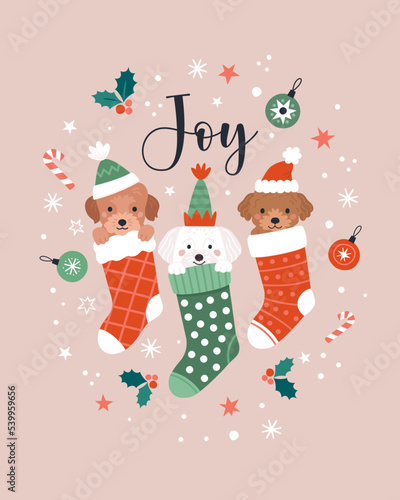 Christmas greeting card. Vector illustration of three cute cartoon puppies in Christmas socks, isolated on abstract light pink background with snow, mistletoe, and Christmas toys