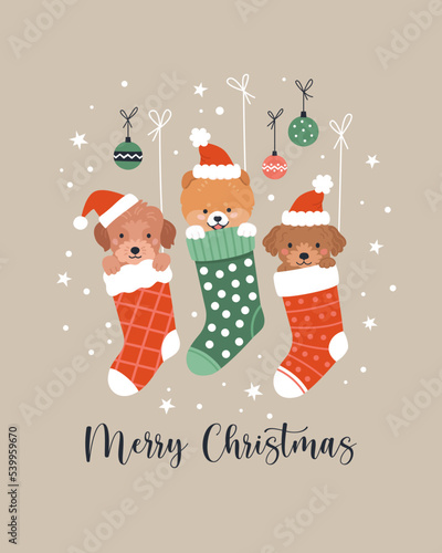 Christmas greeting card.  Vector cartoon illustration with three cute cartoon puppies in Christmas socks. Small dogs in Santa hats. Isolated on background © nadzeya26