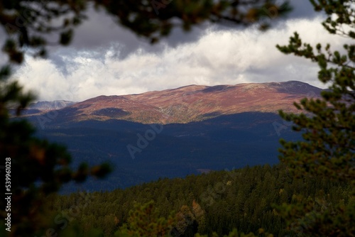 Aerial view of mountain landscape surrounded by dense trees photo