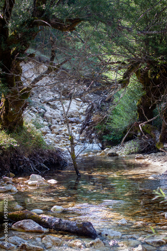 paesaggio di montagna