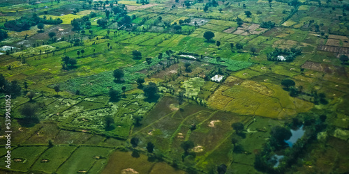 aerial view of rice fields © YURIANTO