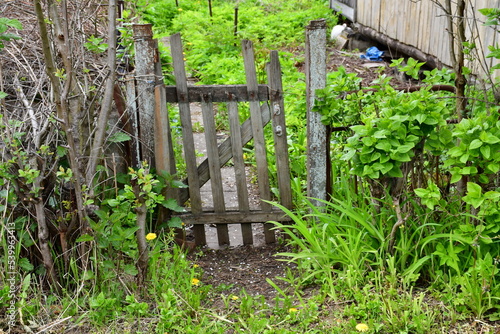 View of the entrance to an old neglected abandoned summer cottage in spring, a broken wooden gate. Old age, loneliness and desolation
