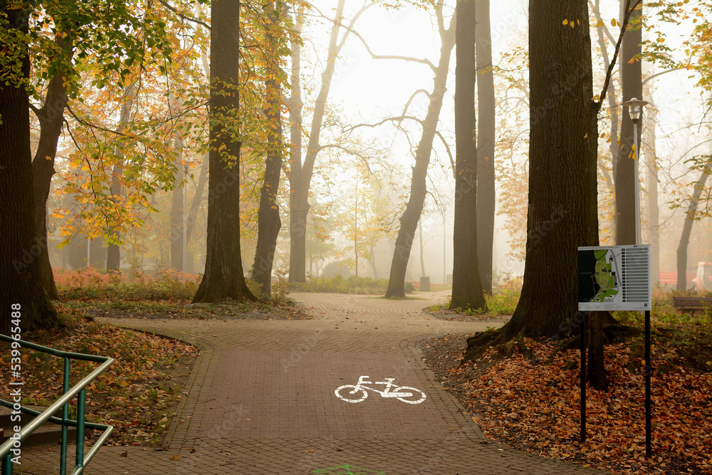 Droga rowerowa w jesiennym parku - obrazy, fototapety, plakaty 