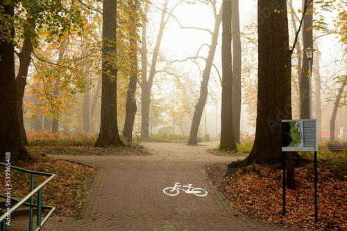 Droga rowerowa w jesiennym parku