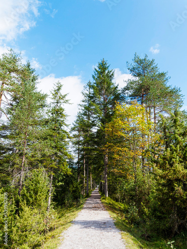 Wanderweg im Bayerischen Wald entlang der Weißach im Wilbad-Kreuther Tal Zwischen Rottach-Egern und und Pförner Brücke photo