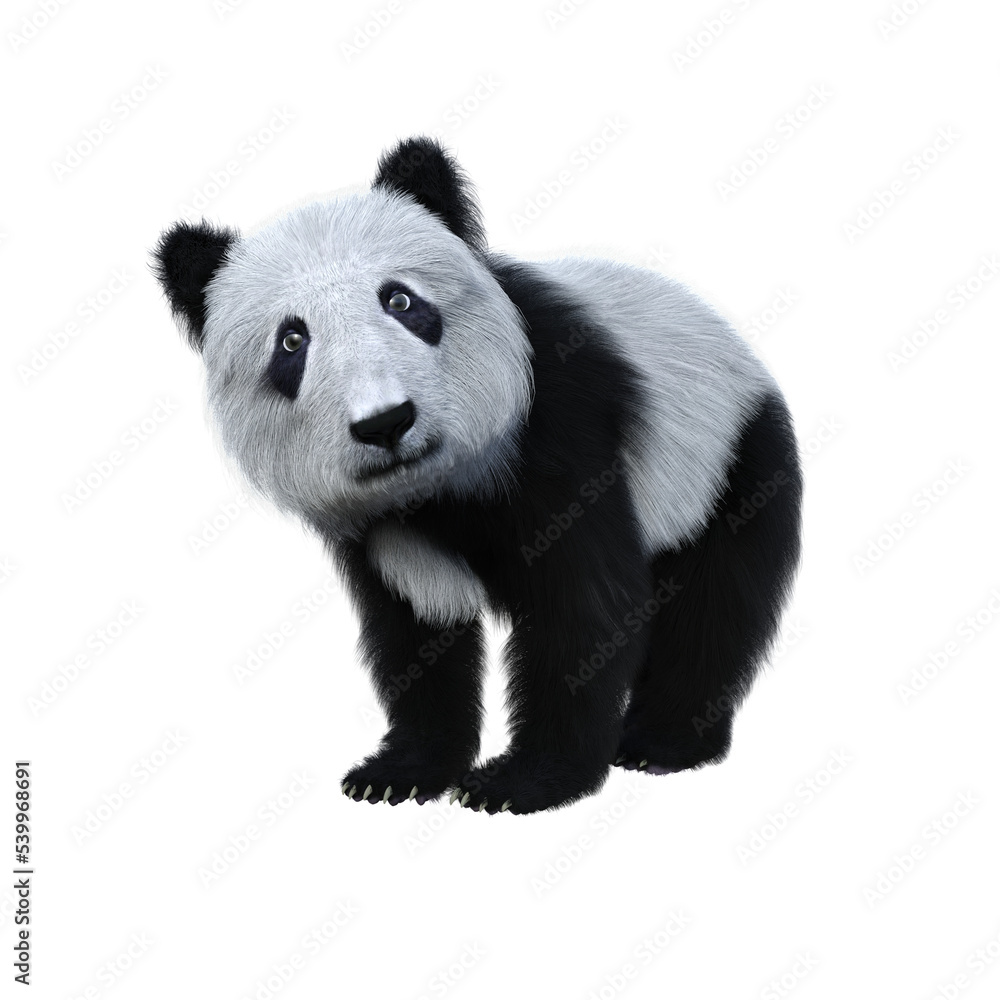 Fototapeta premium Cute Panda cub standing. 3d illustration isolated on transparent background.