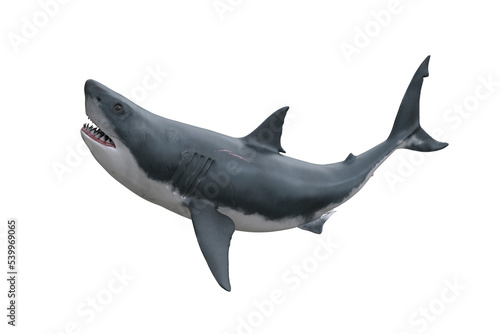 Great White Shark attacking. 3D render isolated on transparent background.