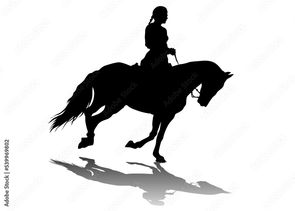 Horse with a riders women on a white background Horse with a riders women on a white background