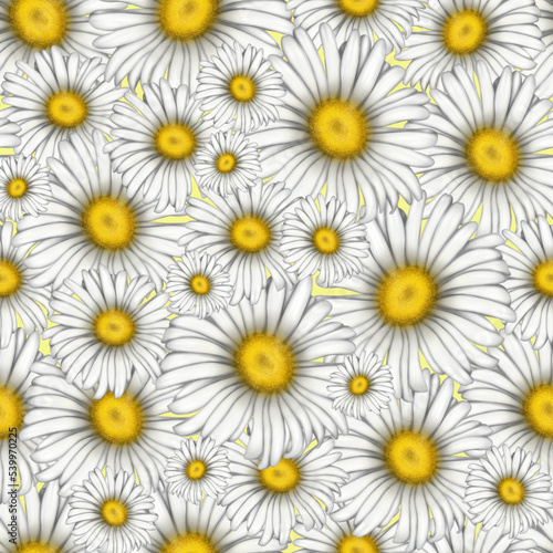 Seamless pattern for printing. Illustration of chamomile flowers. Bright beautiful flowers on a light background.