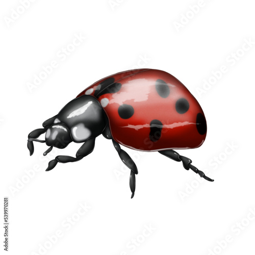 Illustration of a ladybug insect on an isolated background. Bright and beautiful . print, illustration