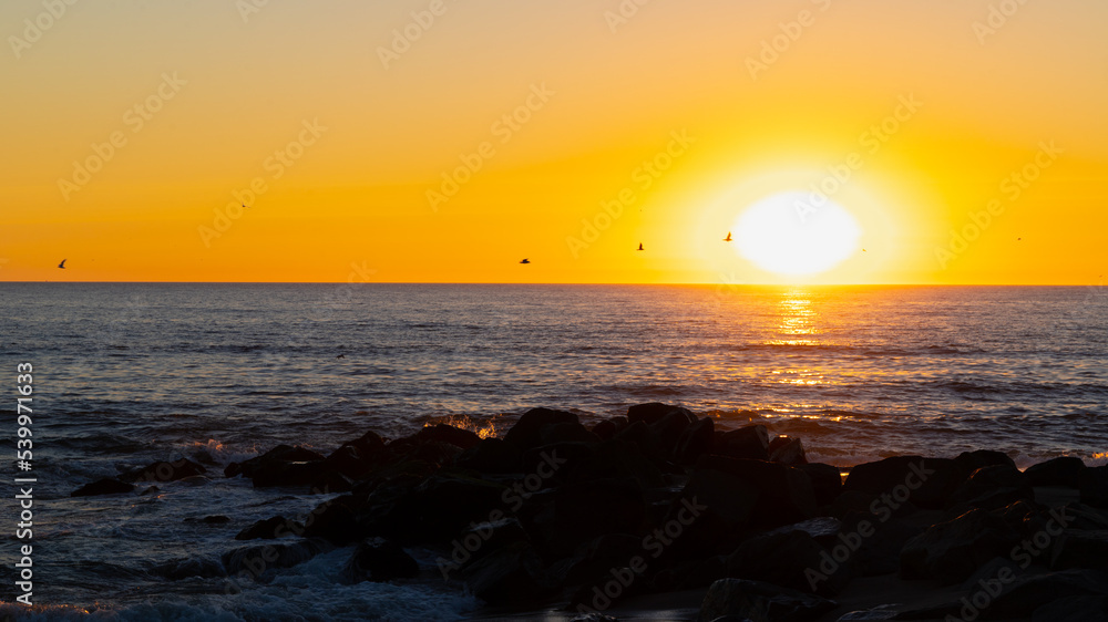 Sunset on the beach, Horizon by the sea, Rocks and birds Sunset on the beach, Horizon by the sea, Rocks and birds