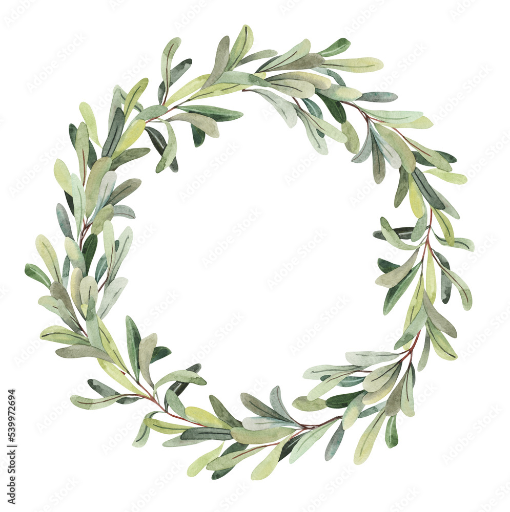 Field herbs, hand painted watercolor mistletoe green branches wreath illustrations. Herbarium, botanical elements for design. Watercolor hand drawn frame clipart