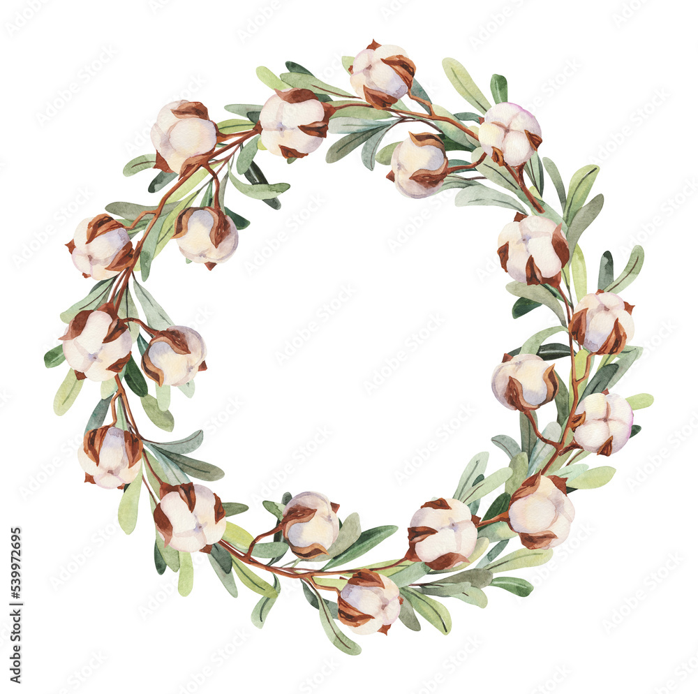 Field herbs, hand painted watercolor mistletoe green branches and cotton wreath illustrations. Herbarium, botanical elements for design. Watercolor hand drawn frame clipart
