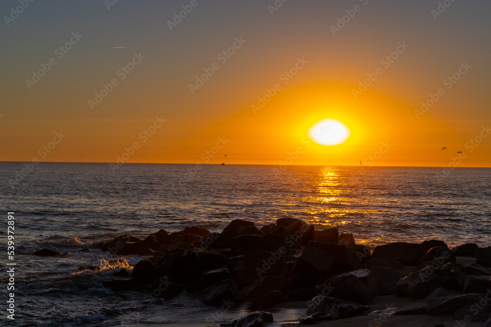 Sunset on the beach, Horizon by the sea, Rocks and birds Sunset on the beach, Horizon by the sea, Rocks and birds