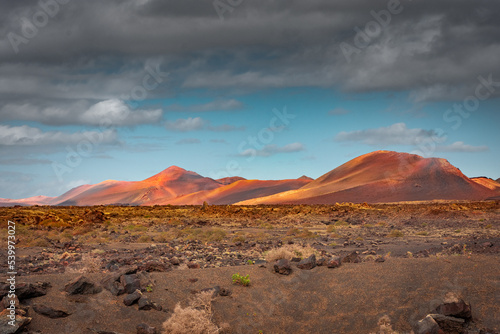 Wild volcanic landscape of the Timanfaya National Park   Lanzarote  Canary Islands  Spain