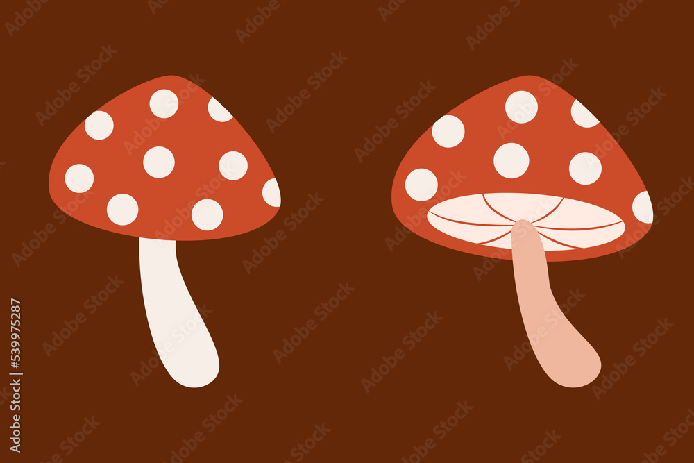 simple vector illustration with mushrooms