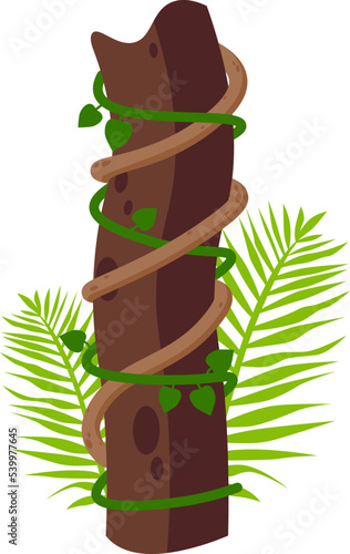 Jungle tree with liana and leaves