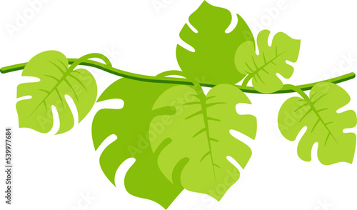 Jungle liana with leaves flat illustration