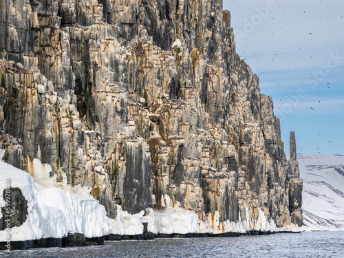 The famous bird cliffs at Alkefjellet, literally meaning Mountain of the Guillemots, Svalbard photo